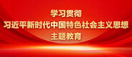 老公，用力艹我学习贯彻习近平新时代中国特色社会主义思想主题教育_fororder_ad-371X160(2)